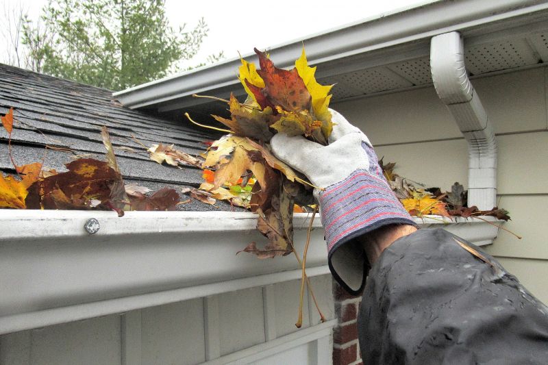 Best Time to Hire Gutter Services