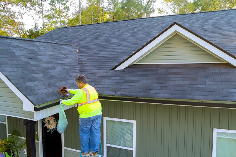 Choosing a Local Gutter Expert